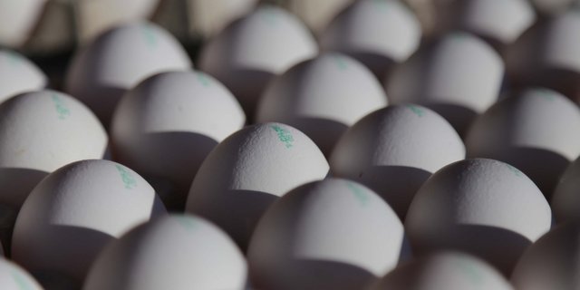 Dass Eier aus der Schweiz stammen, ist den Konsumenten wichtig. (Bild ji) 