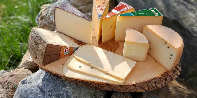 Das Label «Certified CO2 Neutral by Swiss Climate» bestätigt nicht nur die Klimaneutralität des Käses. Es verpflichtet auch zu konkreten Massnahmen zur fortlaufenden Senkung der Emissionen. (Bild Holzhof)