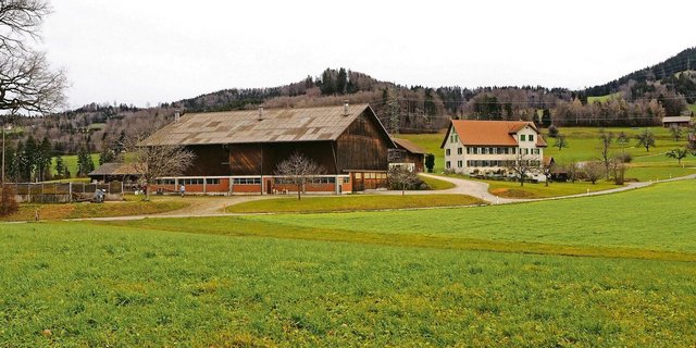 Kontinuität statt Auflösung jahrzehntelager Arbeit in Nichts: Landwirtschaftsbetriebe können durch die ausserfamiliäre Nachfolge intakt bleiben.
