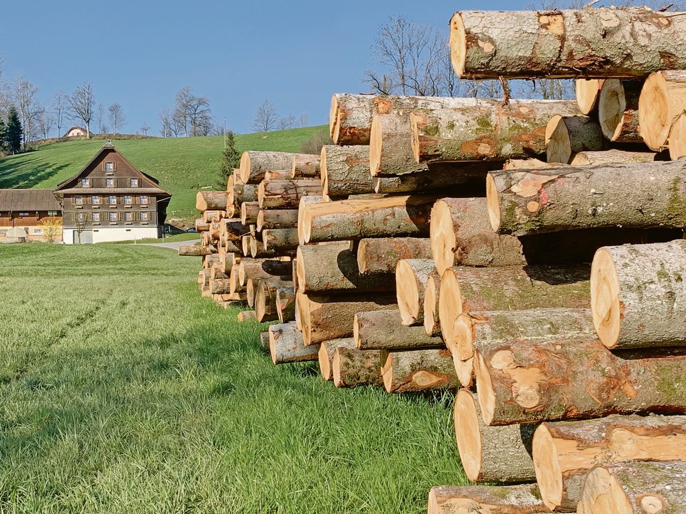 Das alte Bauernhaus (oben links) wurde abgerissen. Für den Neubau konnte viel eigenes Holz verwendet werden. 