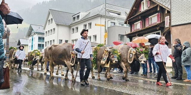 Schön geschmückte Viehsennten am Sennenchilbi-Umzug in Muotathal. 