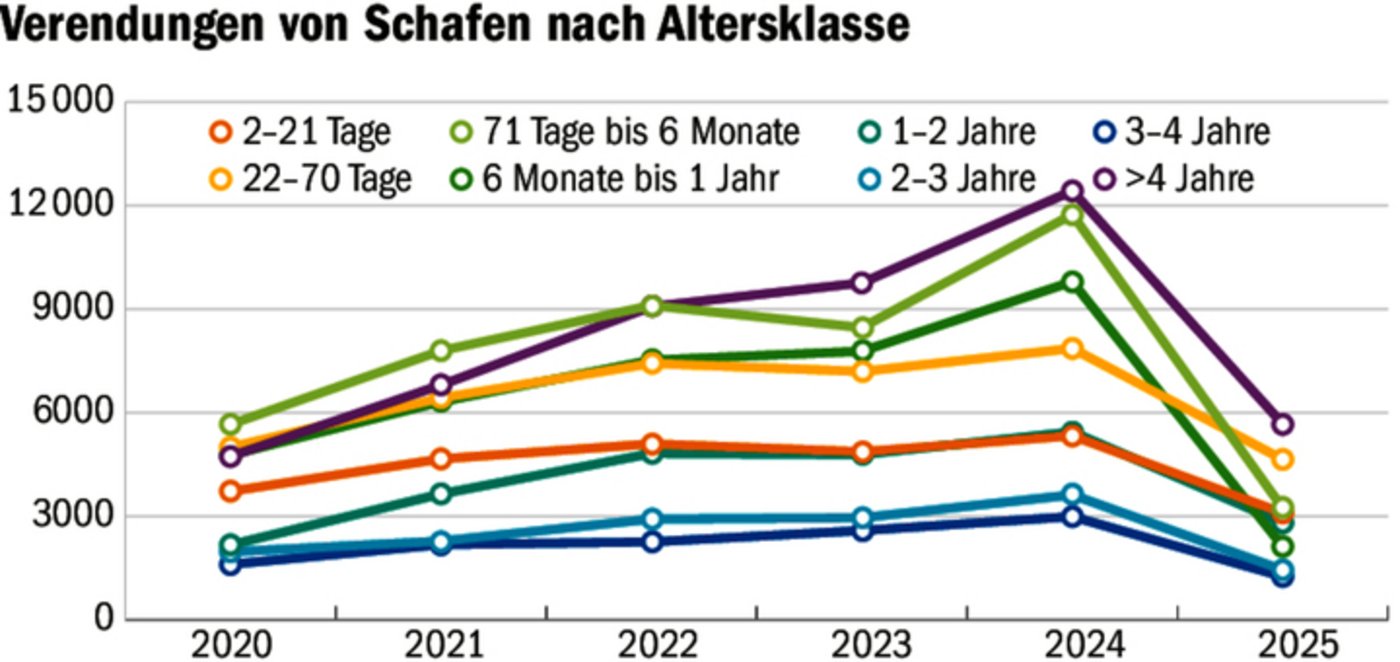 Die Verendungen zeigen einen deutlichen Peak 2024, was zum Ausbruch der Blauzungenkrankheit passt.