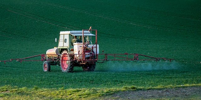 Für den Syngenta-Chef ist der Fall klar: Glyphosat ist wichtig und nützlich. (Bild Pixabay)