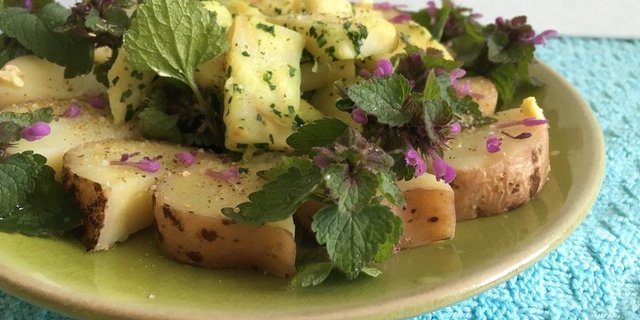 Das pilzartige Aroma der Purpur-Taubnessel passt gut zu gedämpften Kartoffeln, klein geschnittener Bärlauch bereichert z. B. Knollensellerie. (Bilder jsc)