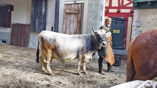 Auch am Filmset des Kinohits «Zwingli» stellte Greina ihr liebes und geduldiges Wesen unter Beweis. (Bild Susanne Knaus)
