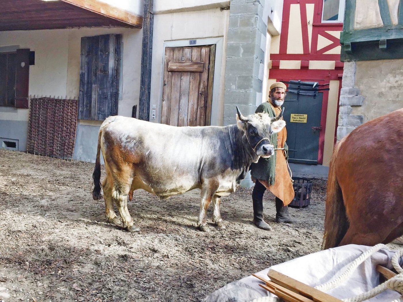 Auch am Filmset des Kinohits «Zwingli» stellte Greina ihr liebes und geduldiges Wesen unter Beweis. (Bild Susanne Knaus)