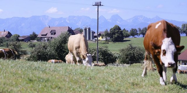 Beim Bundesgericht ist eine Beschwerde eingegangen weil die Resultate einer Schmerz-Studie seit letzen Sommer bekannt waren, aber erst nach der Abstimmung veröffentlicht wurden. (Bild ji/lid)
