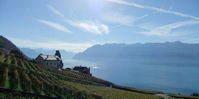 Die stabilen Temperaturen auf dem Seegrund bieten dem Weisswein ideale Lagerbedingungen. (Bild Pixabay)