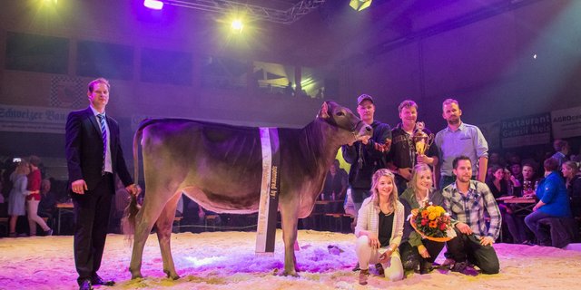 Richter Cord Hormann, die Champion Felders Norwin Noreen mit Züchterfamilie Felder aus Marbach LU. (Bild zVg)