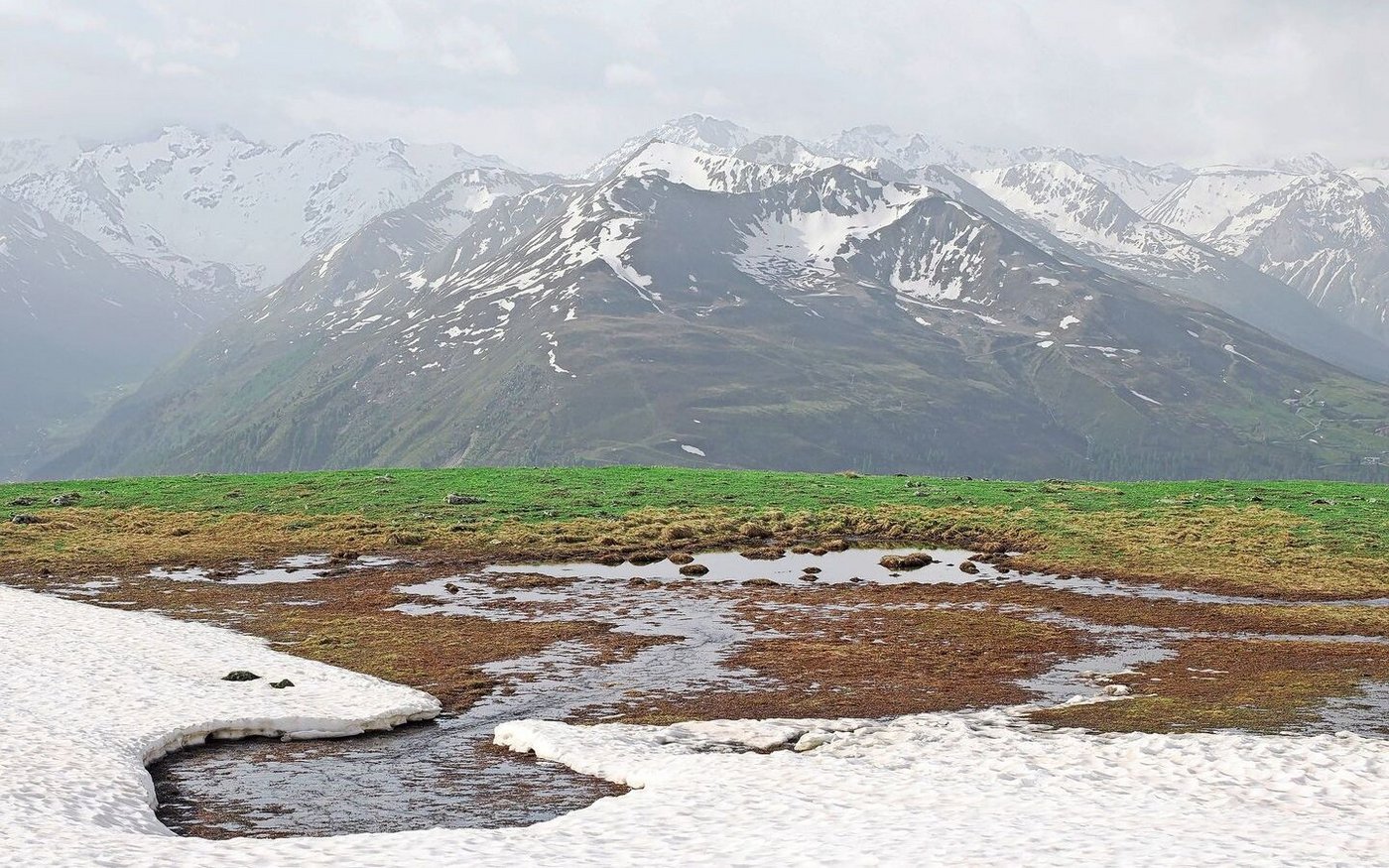Eine Studie wies zwar nur einen leichten Trend zur früheren Ausaperung nach. Aber die höheren Temperaturen nach der Schneeschnmelze lassen die Vegetation schneller wachsen als noch vor 25 Jahren.