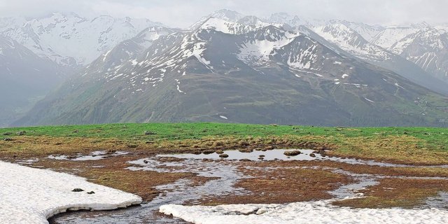 Eine Studie wies zwar nur einen leichten Trend zur früheren Ausaperung nach. Aber die höheren Temperaturen nach der Schneeschnmelze lassen die Vegetation schneller wachsen als noch vor 25 Jahren.