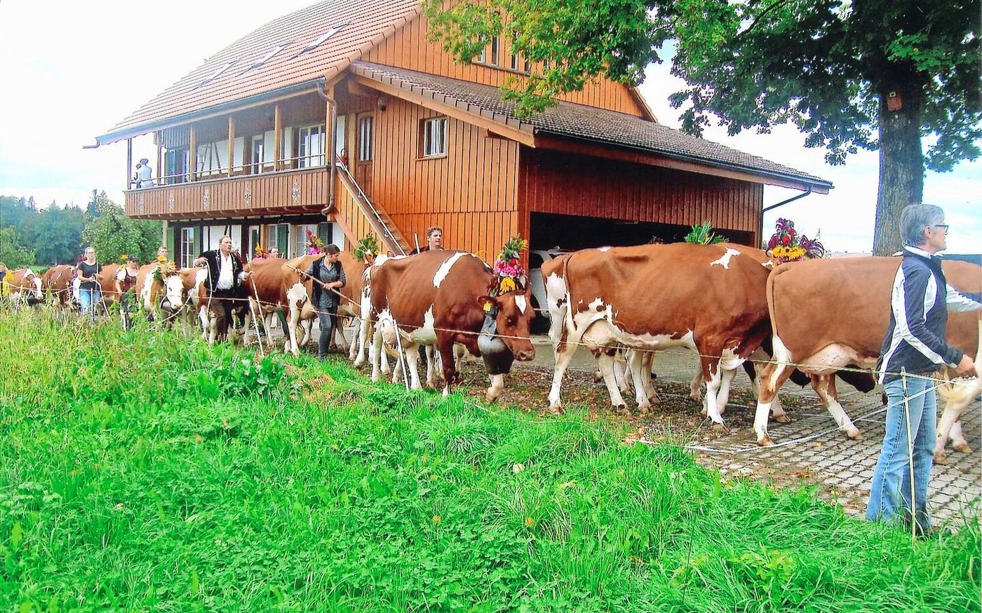 Bis ins Jahr 2017 ging man noch an die Viehschau nach Neuenegg. Heute werden die Kühe linear beschrieben. «Es war aber eine schöne Zeit», sagen Hanna und Hansruedi Mast einstimmig. 