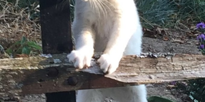 Früh Turnen ist angesagt  (Bild: Cornelia Pulver)