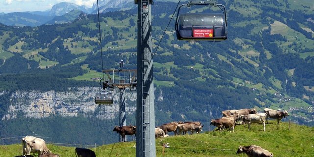 Tourismus und Landwirtschaft sind aufeinander angewiesen. (Emilia Lacko/landwirtschaft.ch
