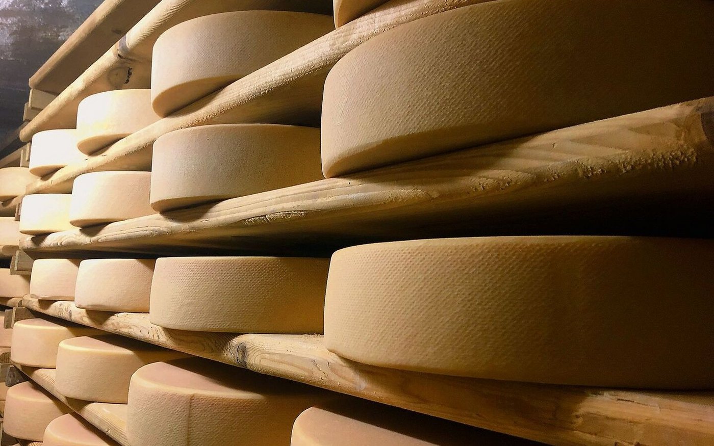 Listerien kommen überall vor – in der Käserei und im Käsekeller sind sie aber nicht erwünscht. Das Bakterium ist gesundheits-schädigend und kann zum Tod führen. Das BLV erhöht deshalb die Beprobungszeitpunkte für Alpkäseproduzent(innen).