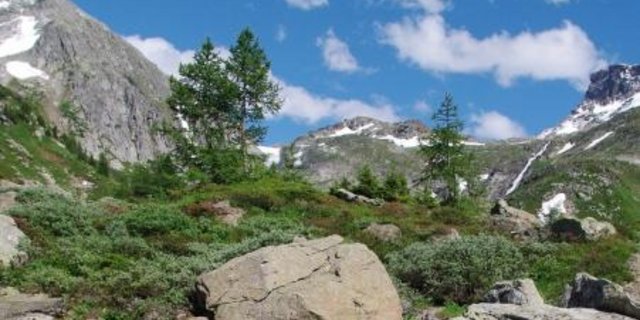 Naturpärke, wie etwa der Landschaftspark Binntal im Wallis, sind bei den Touristen beliebt. (Bild landschaftspark binntal)
