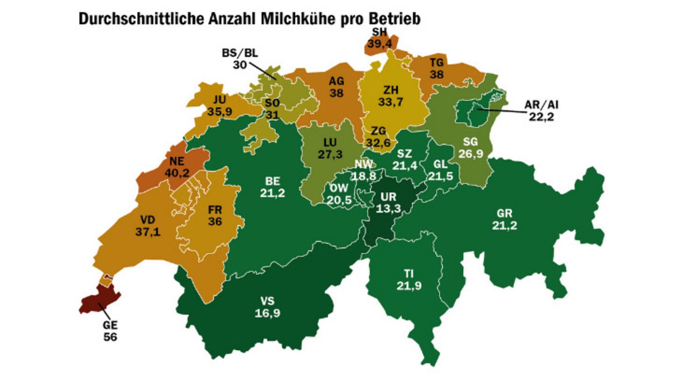 Die durchschnittliche Zahl der Milchkühe, die auf Betrieben gehalten werden schwankt im Kantonsvergleich stark. (Grafik: mi, Quelle: BLW, Daten Milchproduktion 2020)