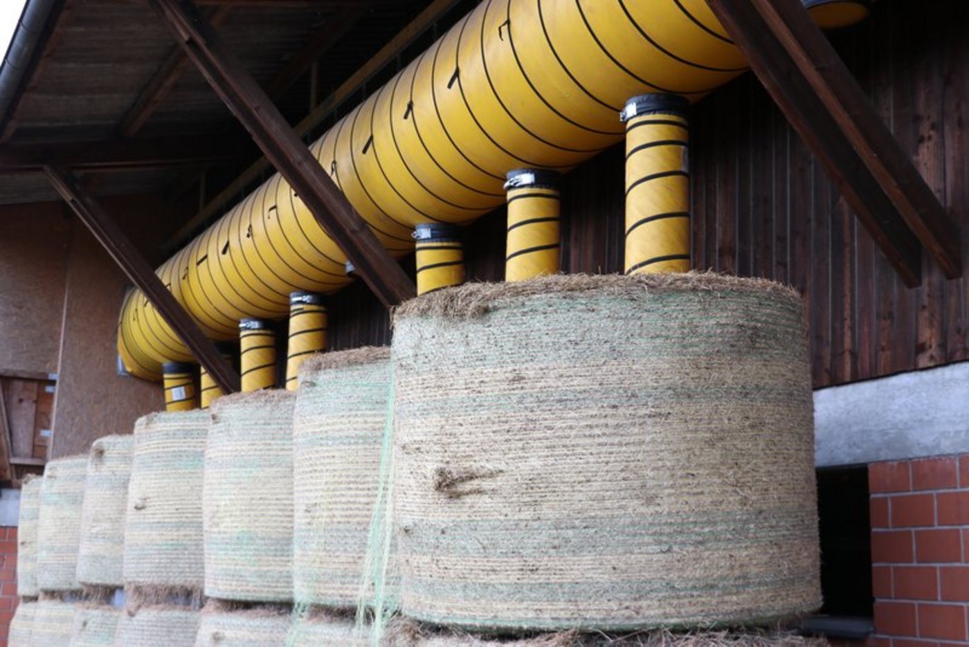 Belüftungssystem für Heuballen auf einem Pferdebetrieb. (Bild BauZ Ruth Aerni) 
