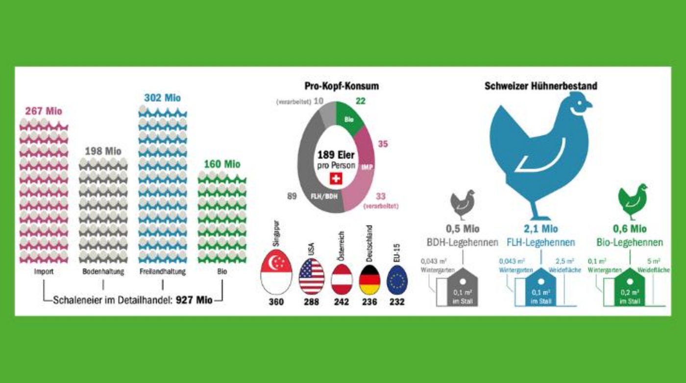 Im internationalen Vergleich essen Schweizerinnen und Schweizer deutlich weniger Eier, als Durchschnitts-Bürger beispielsweise in Singapur. (Grafik mi/Quelle BLW) 