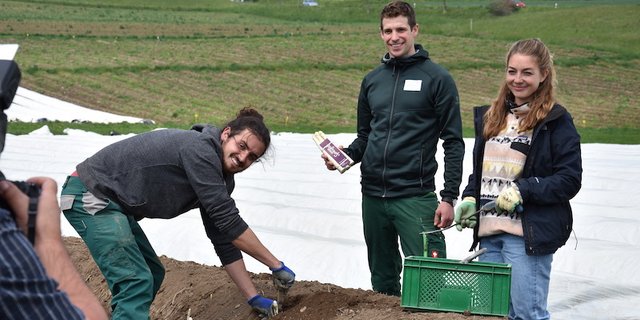 Am Medienanlass des Berner Bauernverbandes erzählten Michael Hodel (mitte) und die Erntehelfer Moritz Zwahlen und Tabea Ryff von ihren Erfahrungen. (Bild jba) 