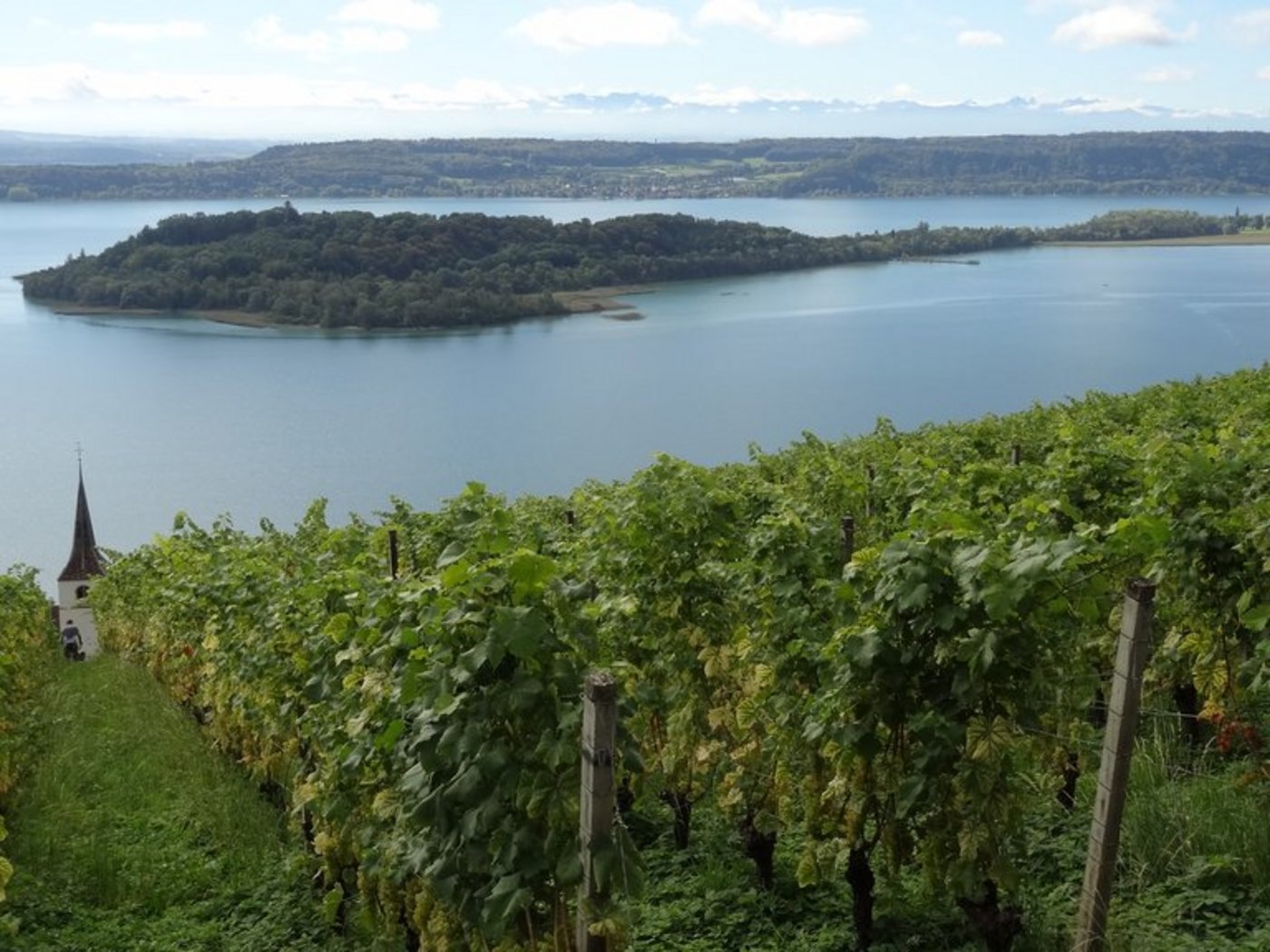 Am Bielersee ist die Idylle getrübt. Grund dafür sind Pläne des Bundesamts für Strassen. (Bild lid)