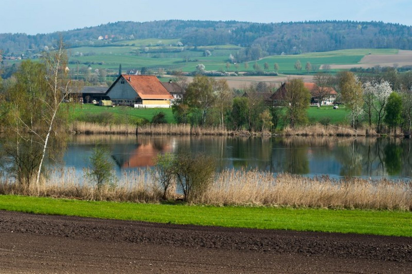 2020 sind Pufferstreifen im Rahmen der risikobasierten Kontrollen besonders im Fokus. (Bild BauZ)