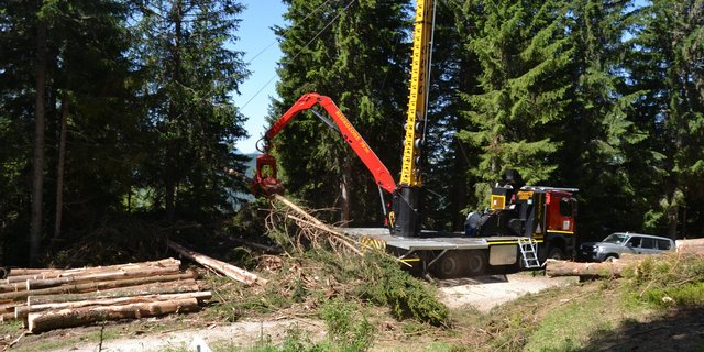 Das Holz wird im Bestand gefällt und im Ganzbaum-Verfahren zur Kombi- Maschine geseilt, wo es vom Harvesterkopf Woody entastet wird.