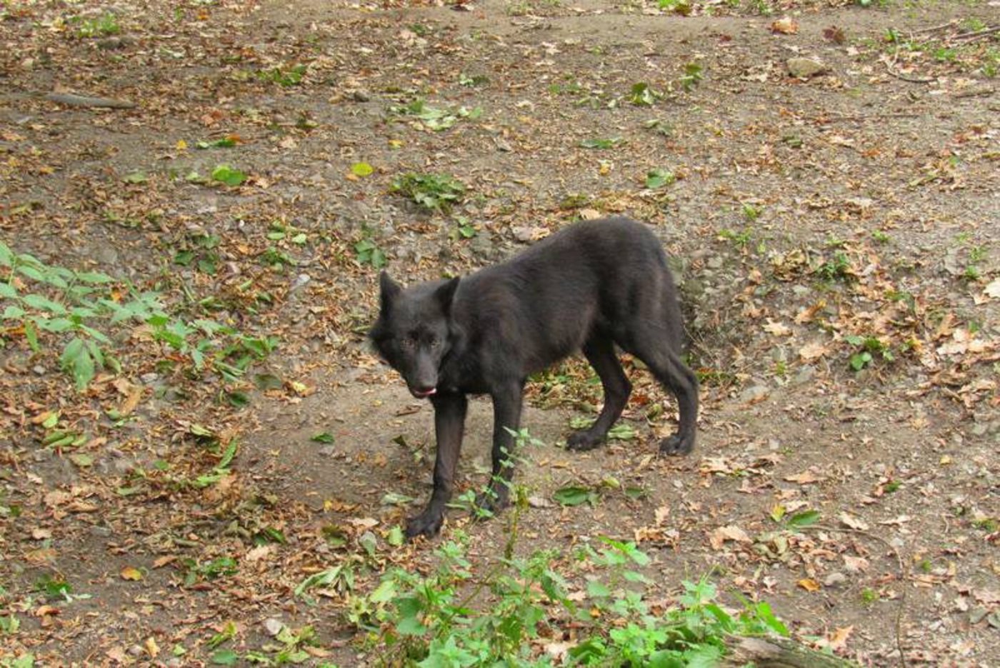 (Symbolbild Konrads Bilderwerkstatt CC BY-ND 2.0)