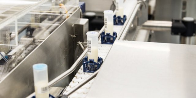 Die Analyse von Tankmilchproben ist eine Massnahme der Prävention und hilft bei der Beobachtung von Massnahmen gegen das BVD. (Symbolbild BauZ)