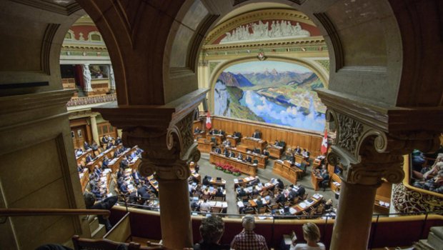 Anlässlich der Pflanzenschutzdebatte im Nationalrat erwiesen sich die Umweltziele als Politpeitsche. (Bild parlament.ch)