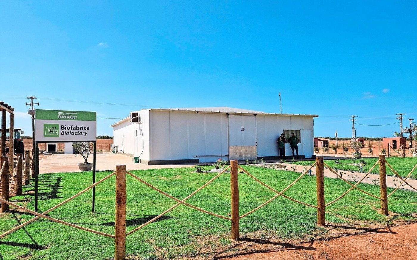 Solche Häuschen kann man als Komplettlösung kaufen, zur betriebseigenen Produktion von PSM auf biologischer Basis. 