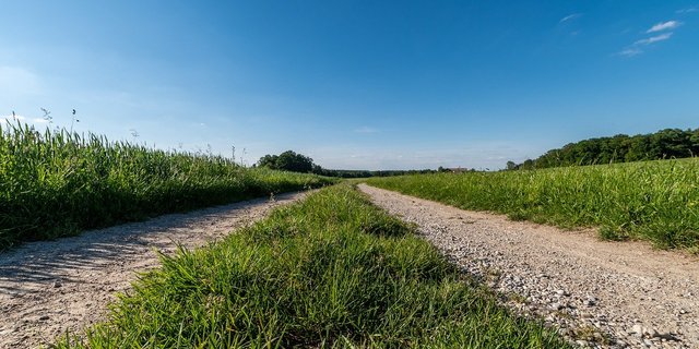 In der IGAS sind unter anderem Bio Suisse, IP-Suisse, Suisseporcs, Fromarte, Emmi, Migros, Coop und die Stiftung für Konsumentenschutz. Die IG möchte das Potenzial des Absenkpfads aufzeigen und die Wertschöpfung im Inland stärken. (Bild  Magna_KursUr / Pixabay)