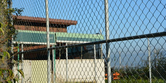 Noch ist die Afrikanische Schweinepest nicht in der Schweiz. Höchste Zeit, um die hiesigen Schweinebestände vor dem Virus zu schützen. (Bild aem)