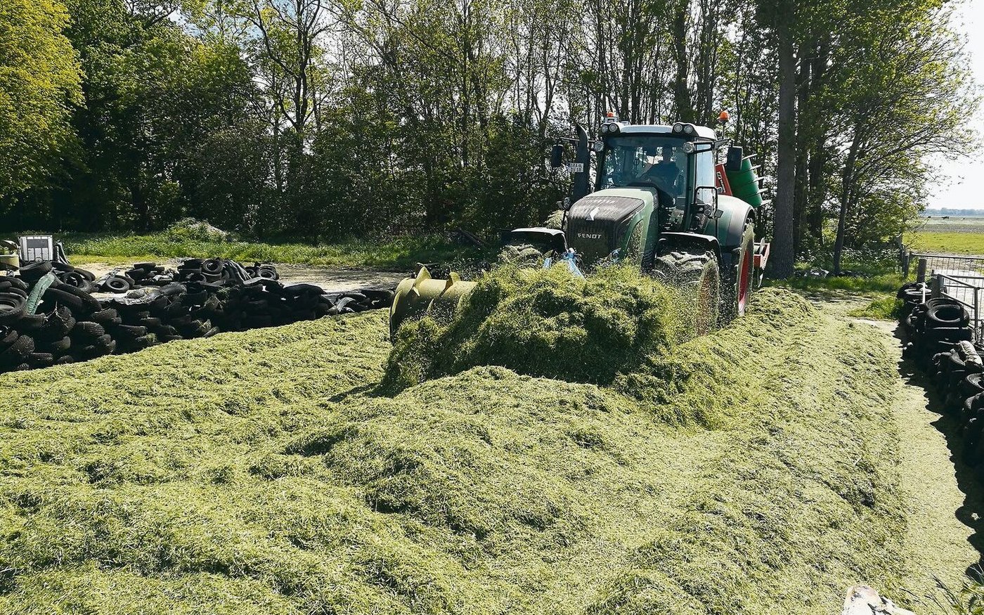Die Verteilwalze sorgt dafür, dass das ganze Schnittgut gleichmässig auf dem Fahrsilo verstreut ist.