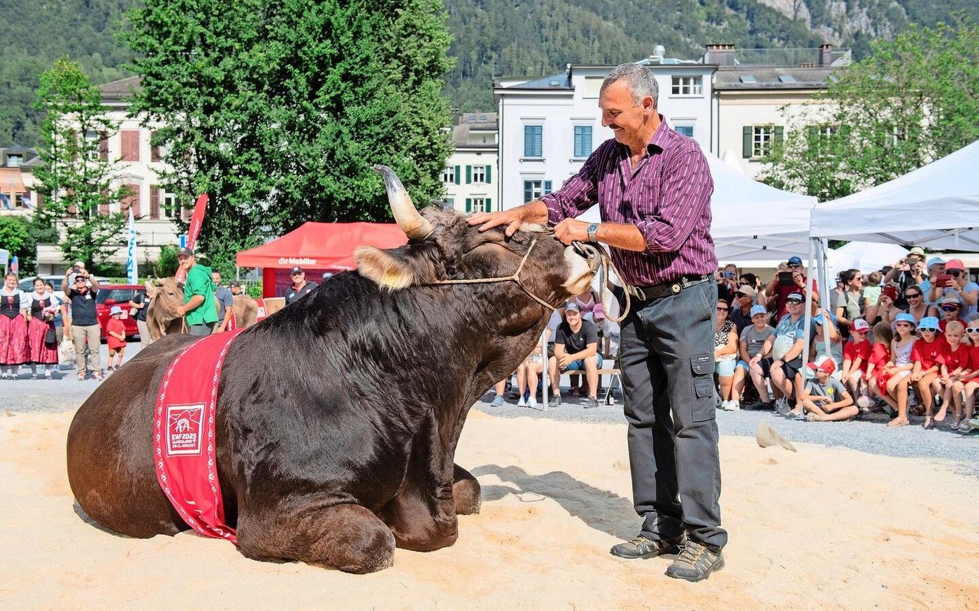 Den Original-Braunvieh-Stier Zibu und seinen Besitzer Bert Horner bringt so schnell nichts mehr aus der Ruhe. Sie kennen sich gut und hatten bereits viele gemeinsame Auftritte.