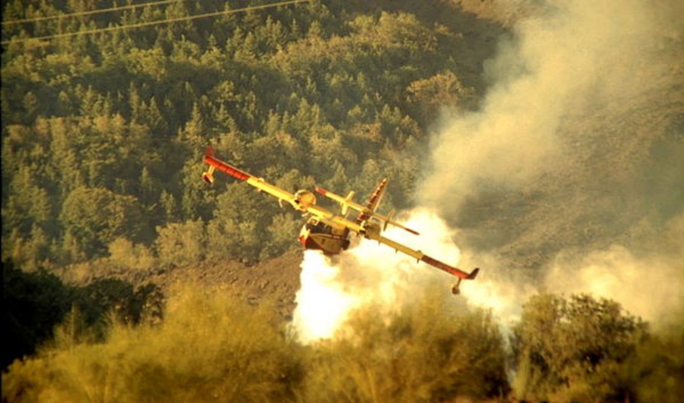 Die Brände in Australien setzen den Bauern hart zu. (Bild weidner/agrar-press)