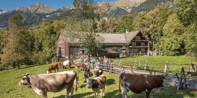 Noch wird an einem Konzept für die Eröffnung gearbeitet. (Bild ballenberg.ch)