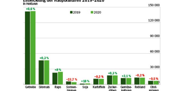 Unsere Grafik zeigt, wie sich die landwirtschaftlichen Hauptkulturen zwischen 2019 und 2020 verändert haben.  (Daten Bundesamt für Statistik/Grafik Mathieu Induni/BauernZeitung)