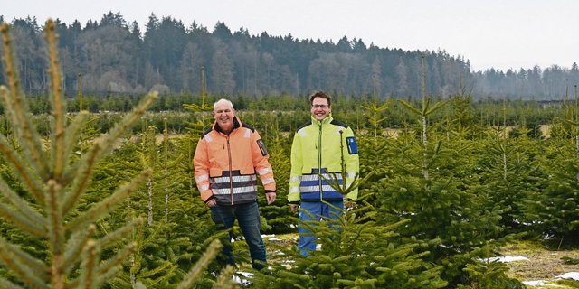Weihnachten, oder zumindest die dazugehörenden Weihnachtsbäume, sind das ganze Jahr hindurch Thema bei Markus (links) und Patrick Heri. Offensichtlich verleidet es ihnen nicht.  (Bilder BauernZeitung/Andrea Wyss)