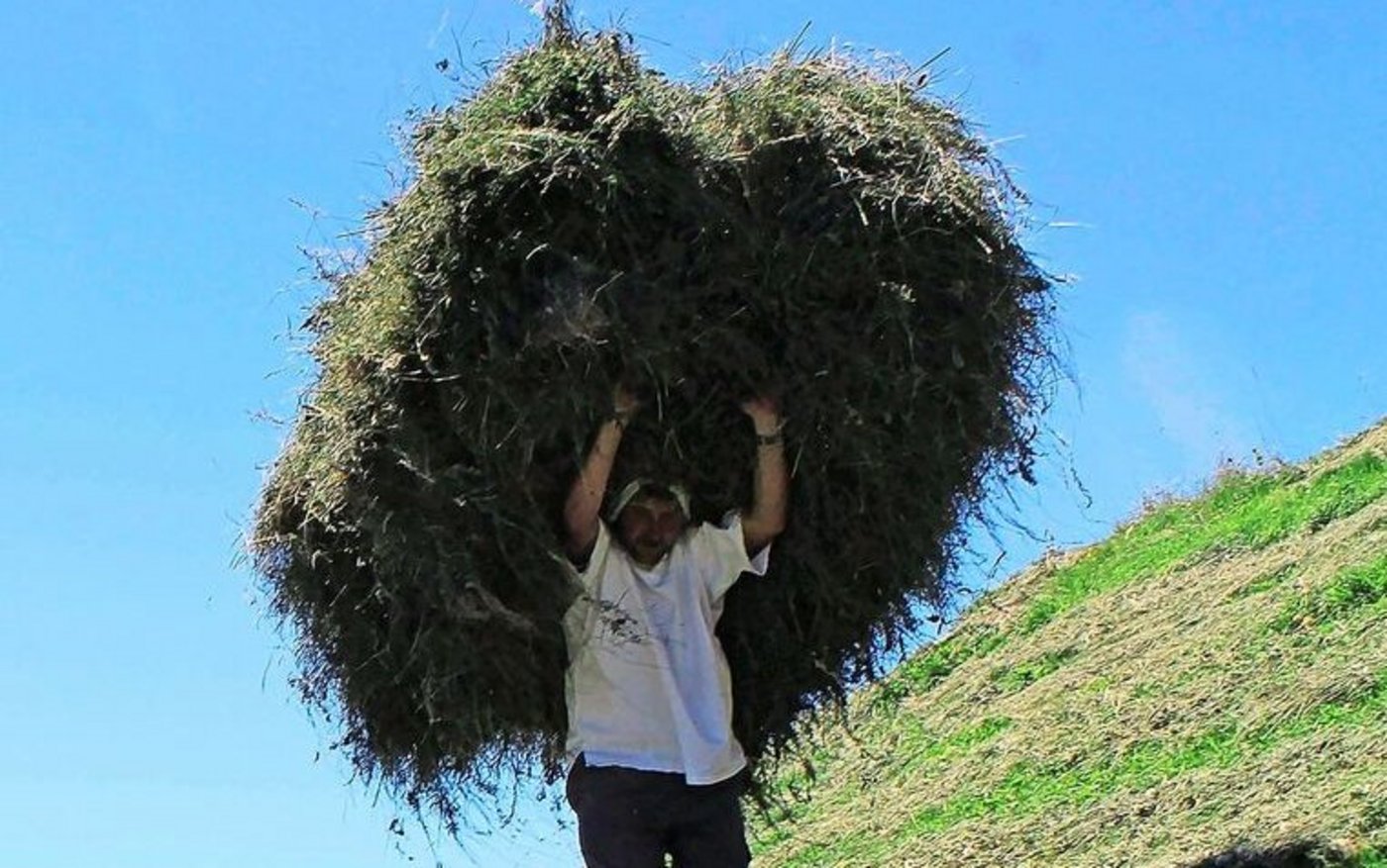 Stundenlanges Gehen im steilen Gelände beansprucht Sehnen und Gelenke stark. Dies kann im Alter zu Beschwerden führen.