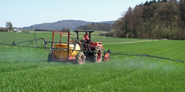 Durch gezielte Auswahl von Pflanzenschutz-Wirkstoffen lassen sich Risiken und Umweltwirkungen stark senken. (Bild Gabriela Brändle, Agroscope).
