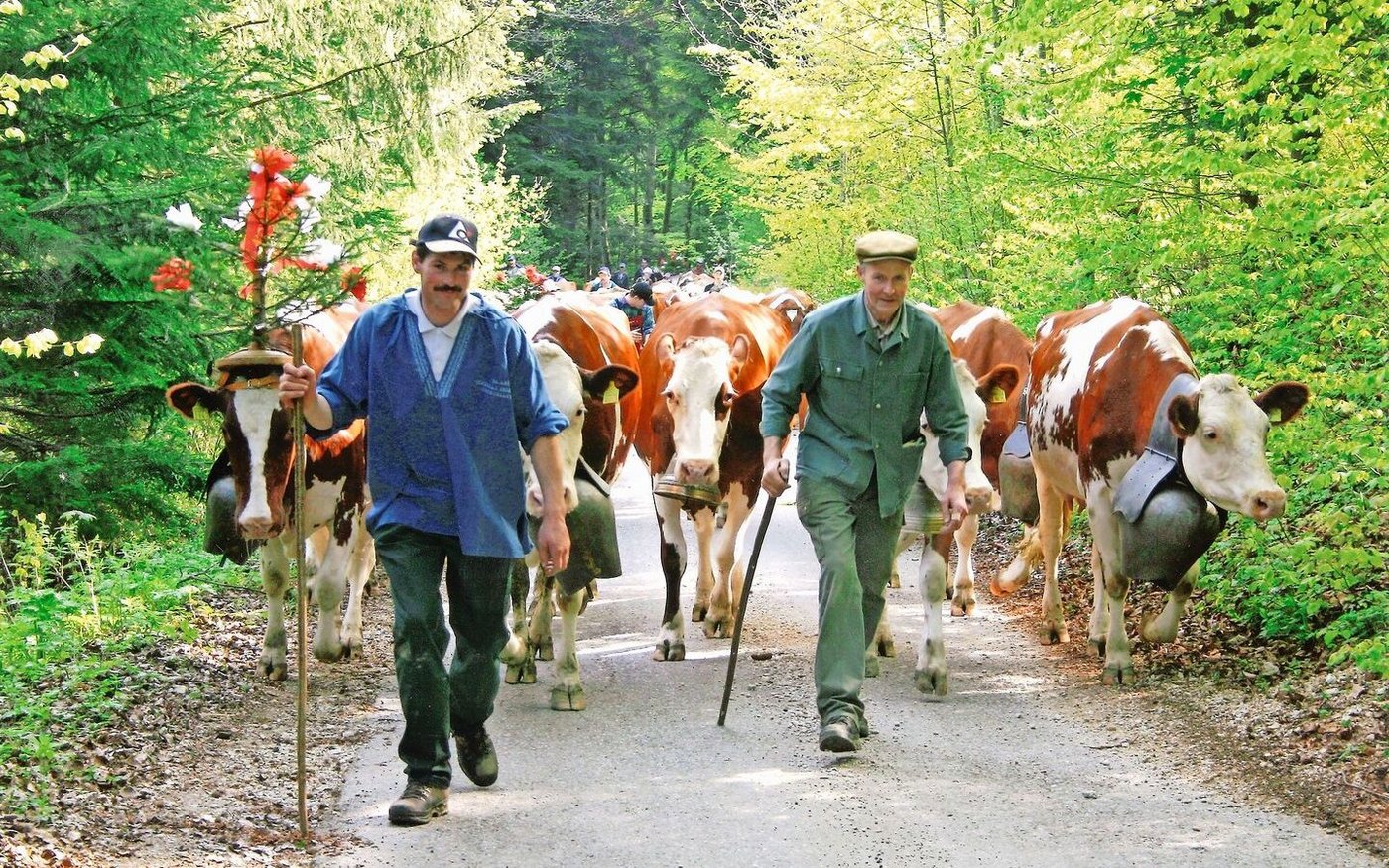 Alfred (r.) und sein Sohn Daniel Bühler bei der Alpauffahrt. 