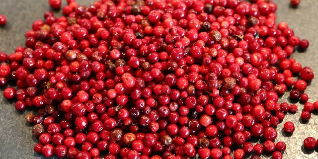 Preiselbeeren (Bild) und Bärlauch können offenbar einen positiven Einfluss auf die Darmgesundheit von Schweine haben, wie ein dänisches Forschungsprojekt zeigt. (Bild Pixabay)