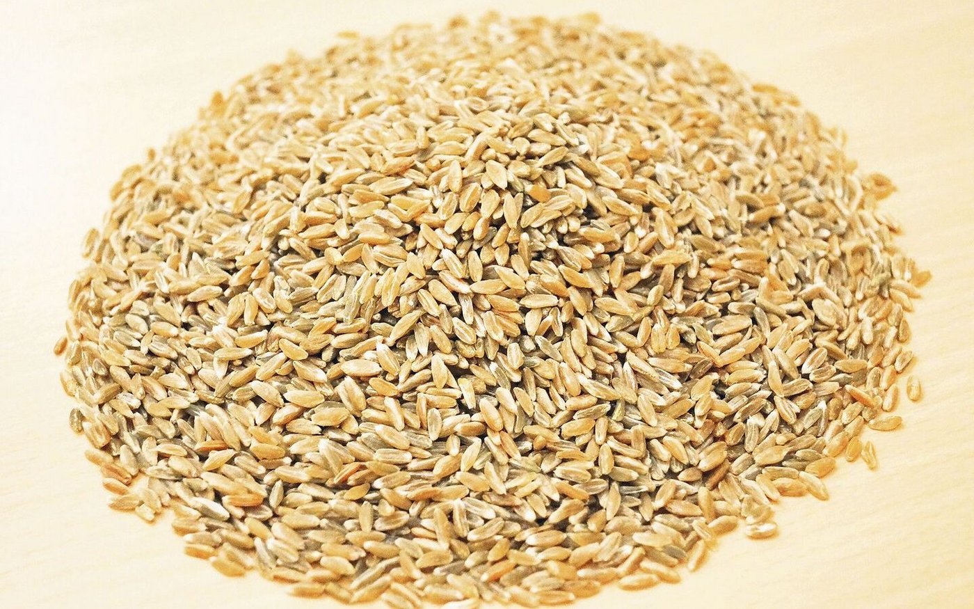 Der letzte Schritt nach dem Darren ist das Entspelzen, danach kommen die grünen Körner zum Vorschein.