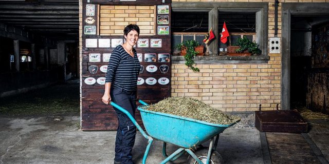 Zwar bezeichnet sich Barbara Matter als «Innenministerin», sie packt aber trotzdem regelmässig im Stall mit an und kümmert sich um die Kälber. (Bild Ueli Christoffel/SRF)