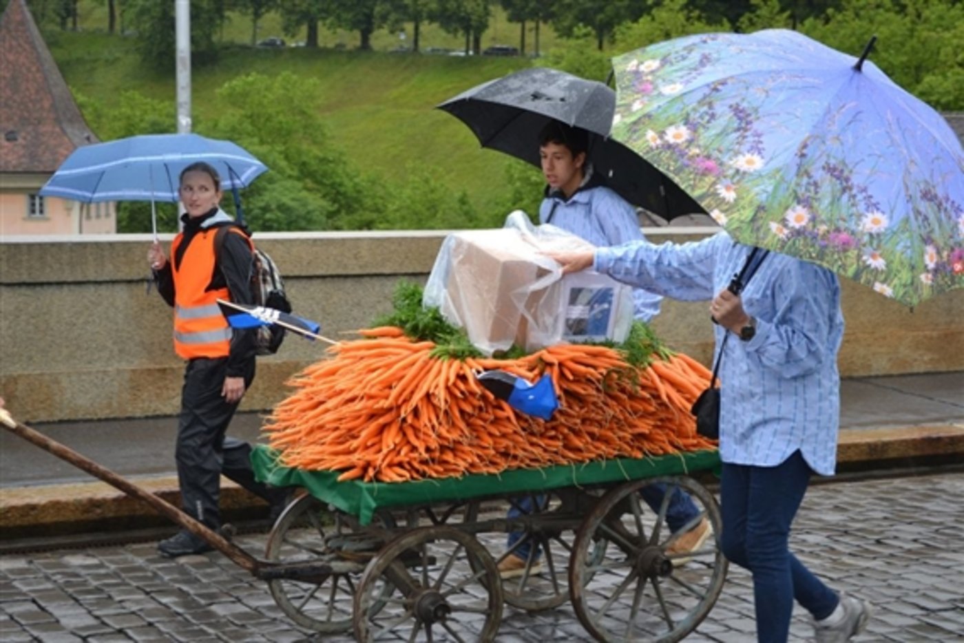Im strömendem Regen, aber guten Mutes: Bauern marschieren im Juli 2014  mit Unterschriftenkarton und Rüebli Richtung Bundeskanzlei. Am Sonntag folgt nun die Abstimmung über den Gegenvorschlag zur Initiative für Ernährungssicherheit. (Bild jw) 