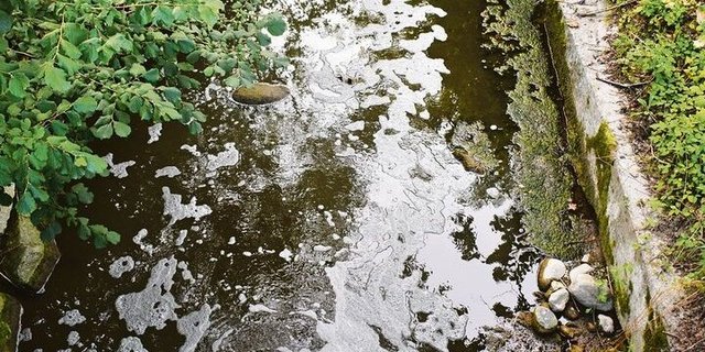 Eine von 18 Gewässerverschmutzungen 2022 mit der Landwirtschaft als Verursacher. 