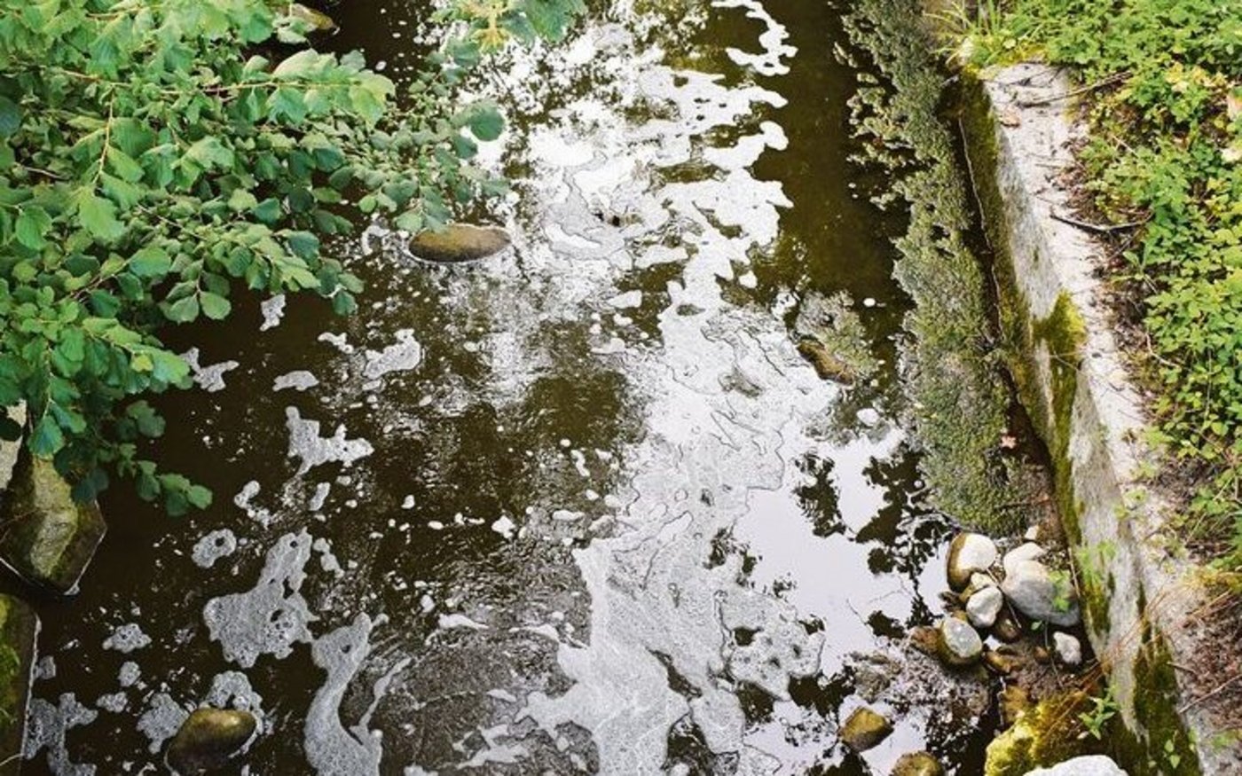 Eine von 18 Gewässerverschmutzungen 2022 mit der Landwirtschaft als Verursacher. 