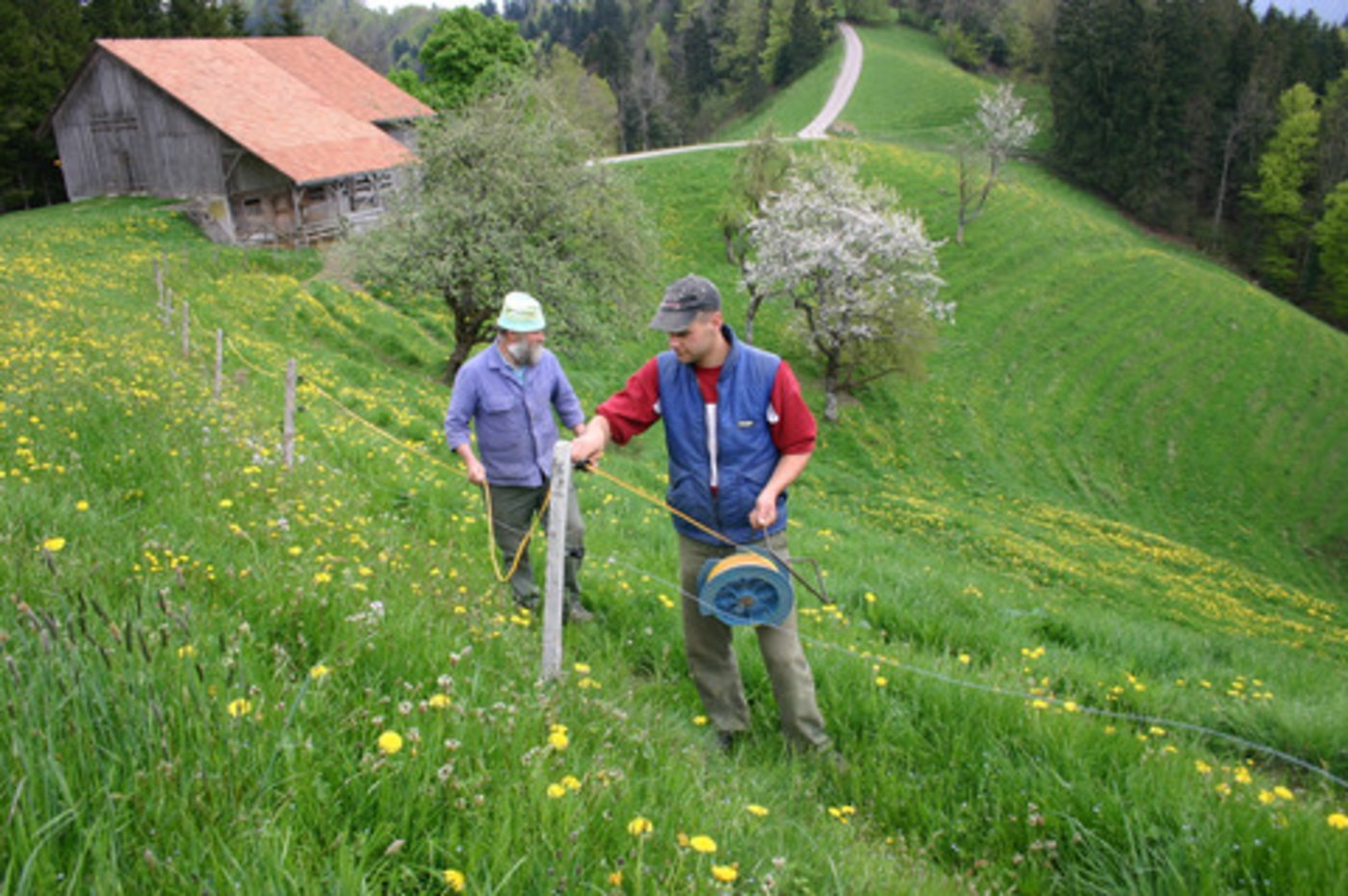 Gute Zäune aufzustellen ist nicht trivial – das Video der Agridea gibt anschauliche Tips. (Bild BauZ)
