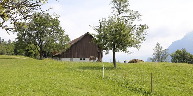 Innovation und Modernisierung sollen auch in Zukunft möglich sein. (Bild lid)